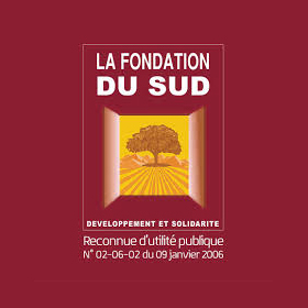 FONDATION DU SUD POUR LE DEVELOPPEMENT ET LA SOLIDARITE